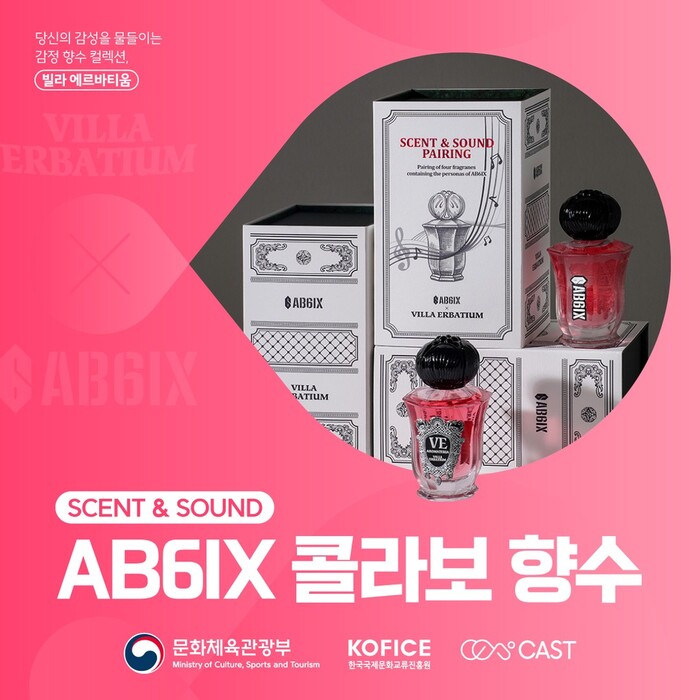 K팝 아이돌 